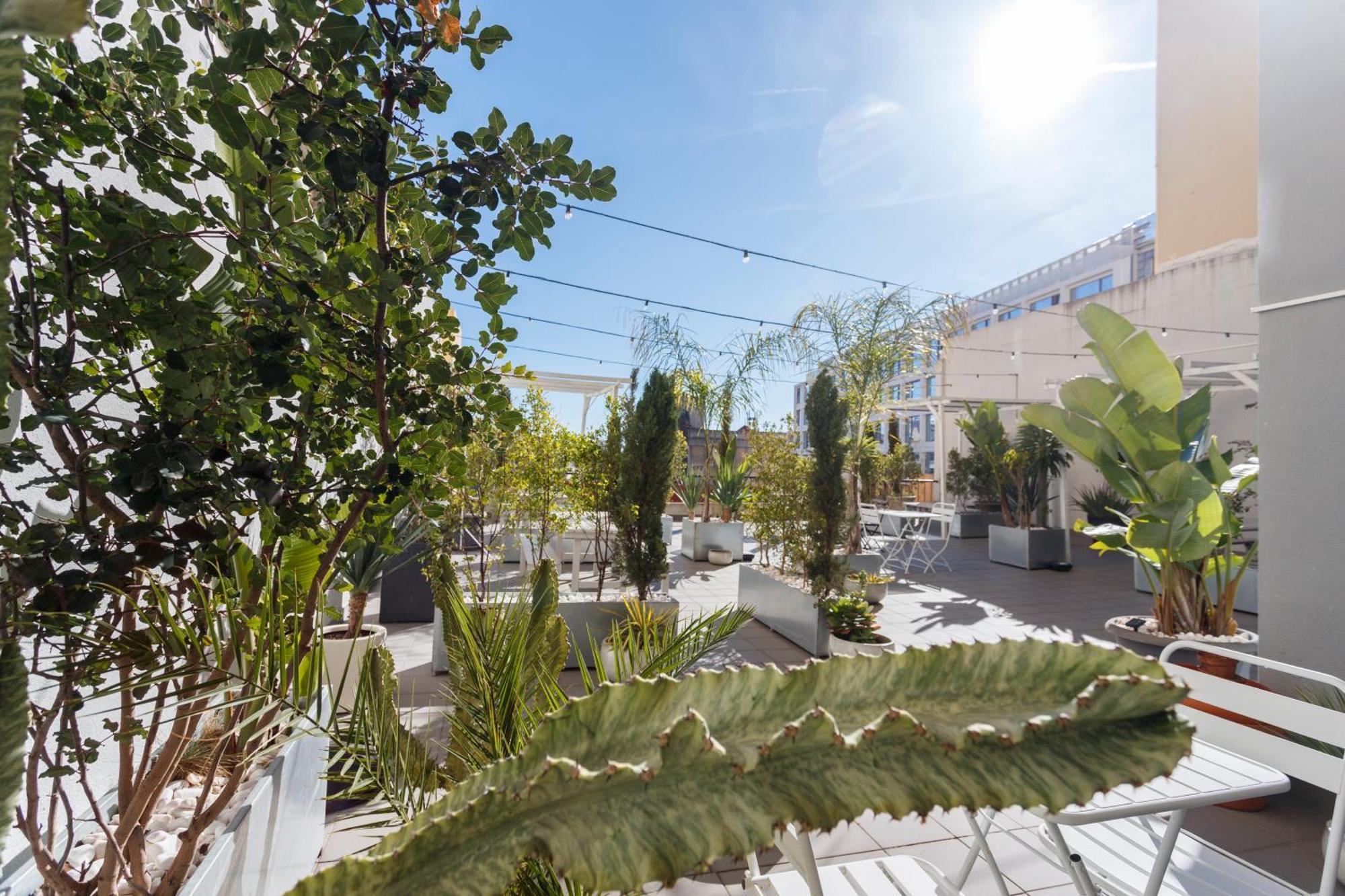 Appartamento Sip & Savor On The Terrace - By Misha's Place 1c