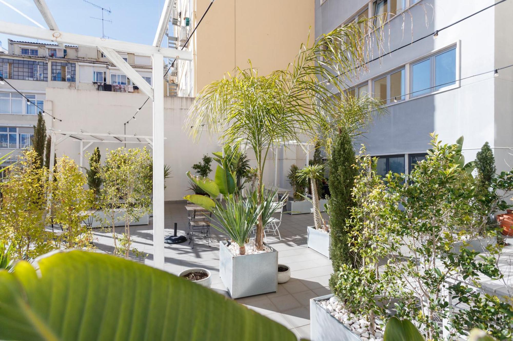 Sip & Savor On The Terrace - By Misha's Place 1c Appartamento *